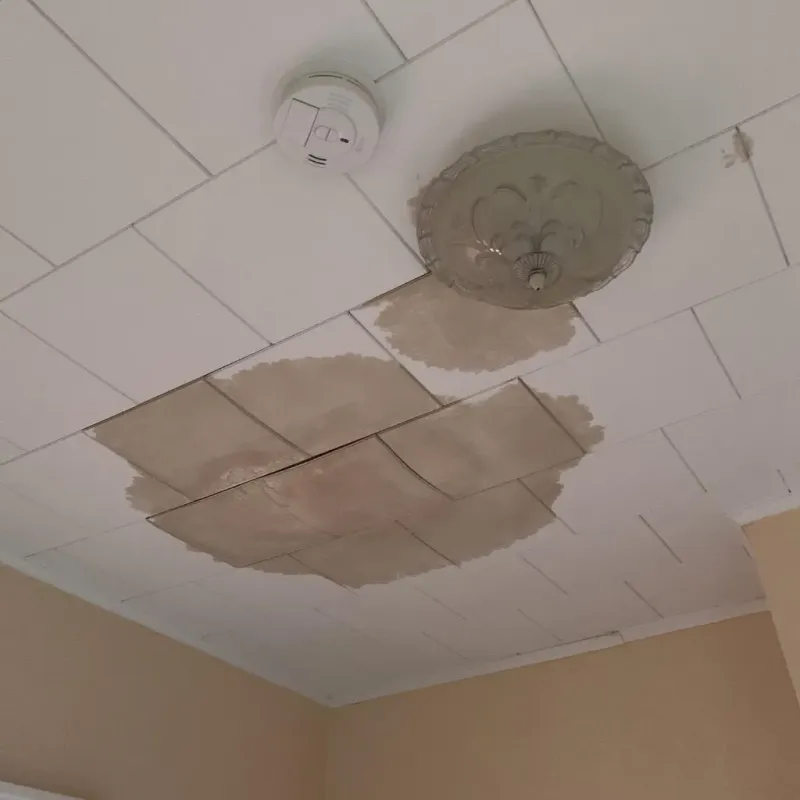 Ceiling Water Damage Repair in City of Bristol, VA