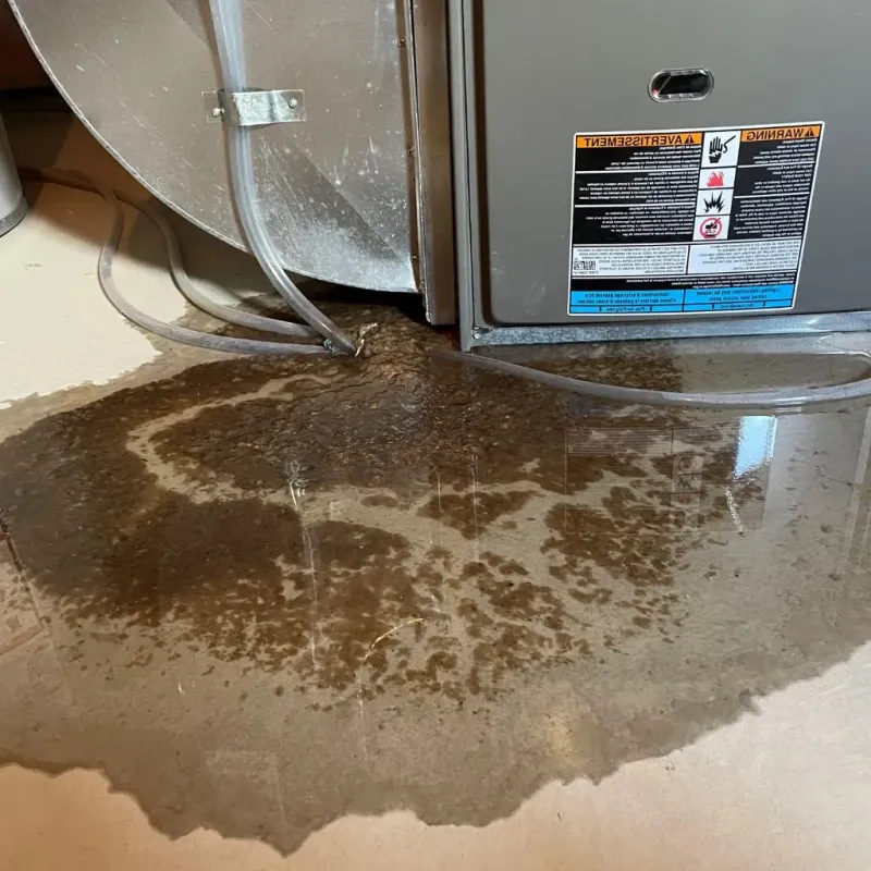 Pipe Burst and Leak Restoration in City of Bristol, VA
