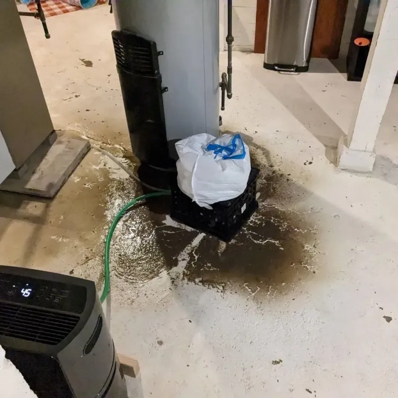Sewage Backup Cleanup Service in City of Bristol, VA